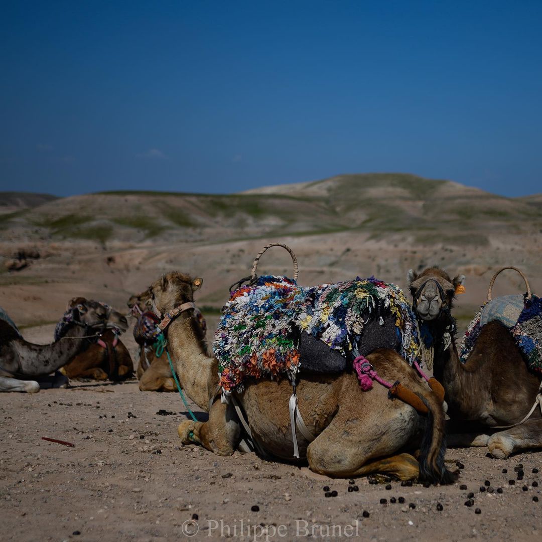 Visitez Le Maroc Marrakech